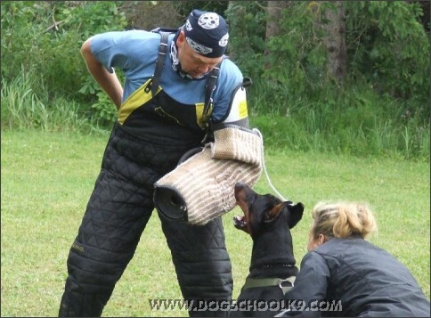 Summer training camp in Estonia 2007